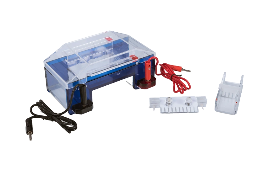 horizontal-electrophoresis-systems