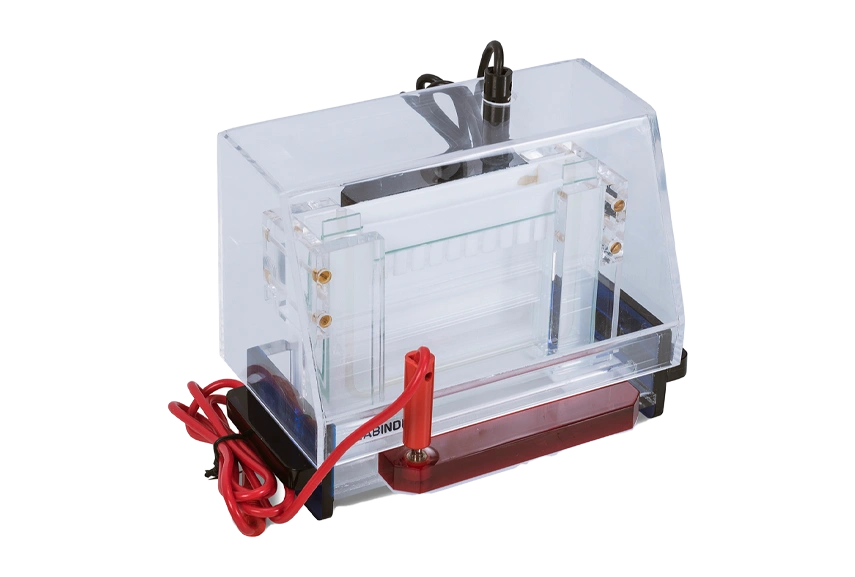 vertical-electrophoresis-systems